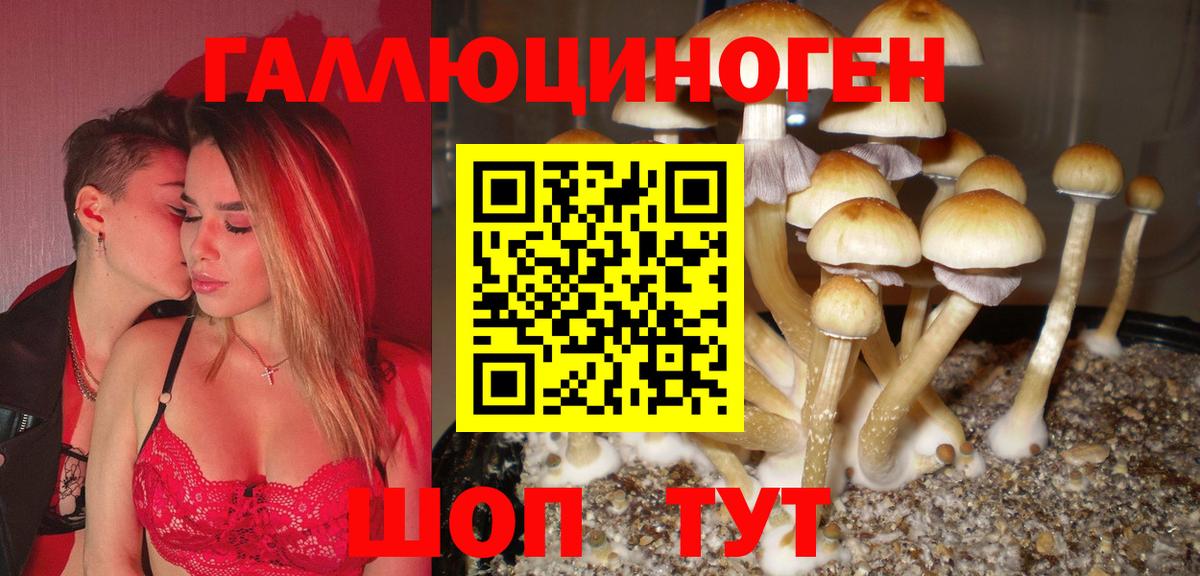 Псилоцибиновые грибы MAGIC MUSHROOMS  Вход с VPN  Новоалтайск 